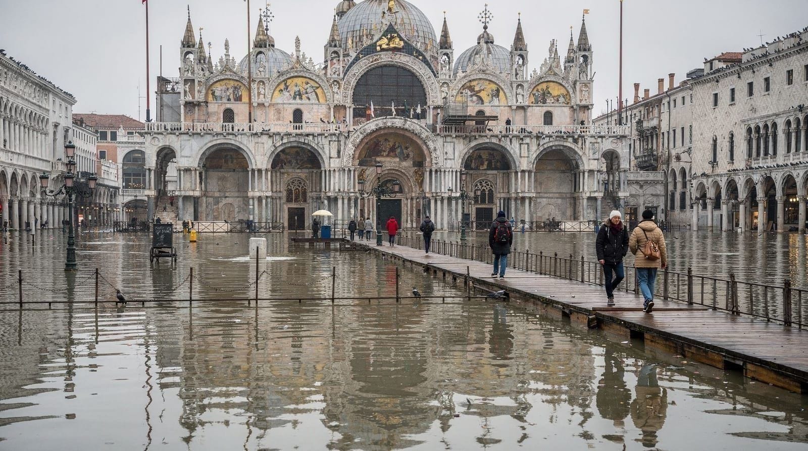 The day Venice flooded under our feet — an acqua alta diary — We woke up to sirens and 70cm of water in the streets. This is what an acqua alt