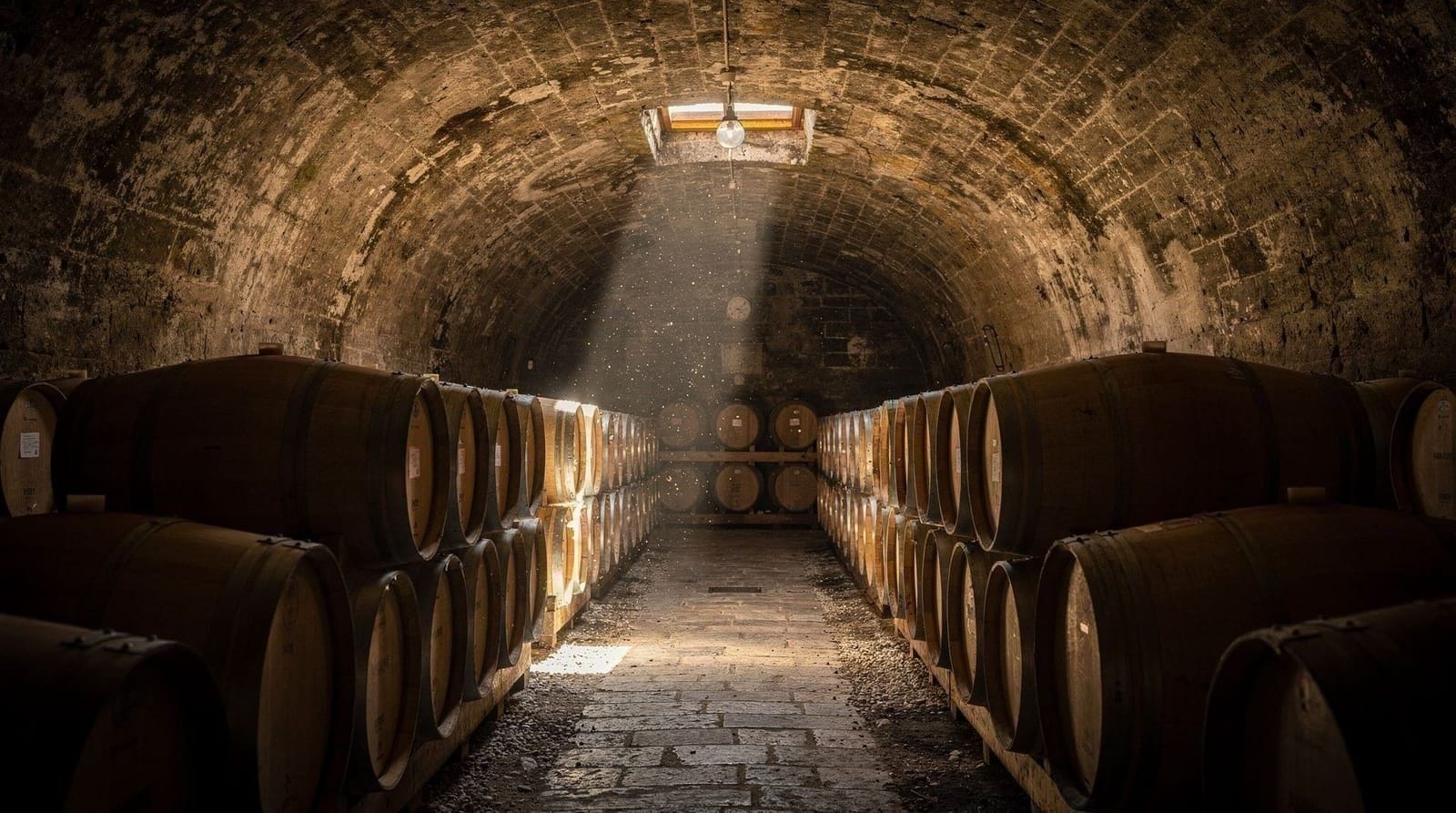 A day in Valpolicella: what we drank, where we went, and what Amarone actually is — Valpolicella is 90 minutes from Venice and produces Amarone, one of Italy's grea