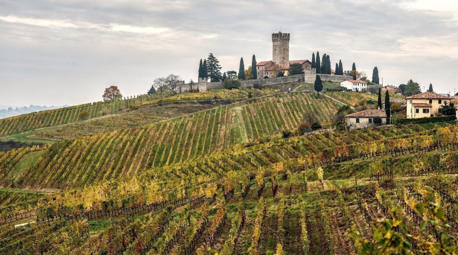 Conegliano and the Prosecco UNESCO hills, Venice