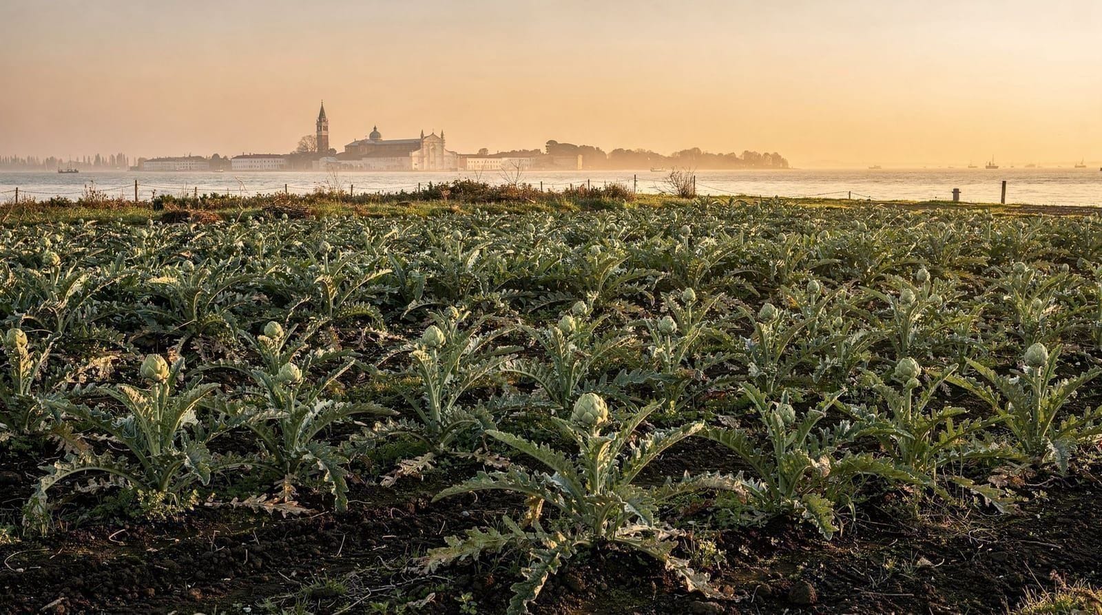 Sant'Erasmo, Venice