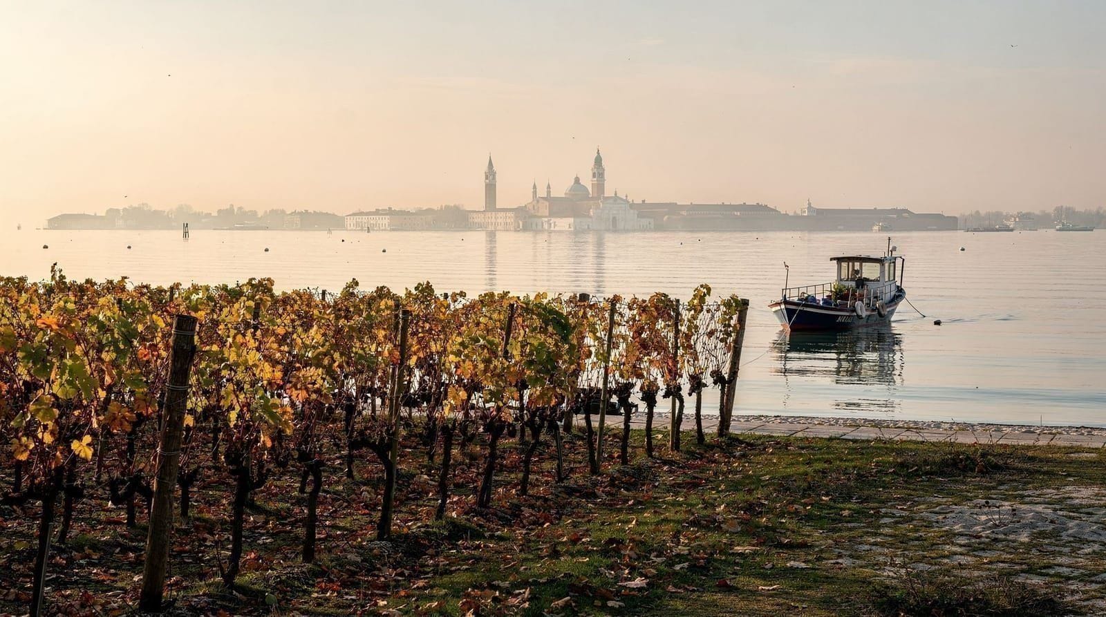 Hidden lagoon islands: beyond Murano, Burano, and Torcello — Beyond Murano, Burano, and Torcello: Sant'Erasmo, Mazzorbo's vineyard, San Franc