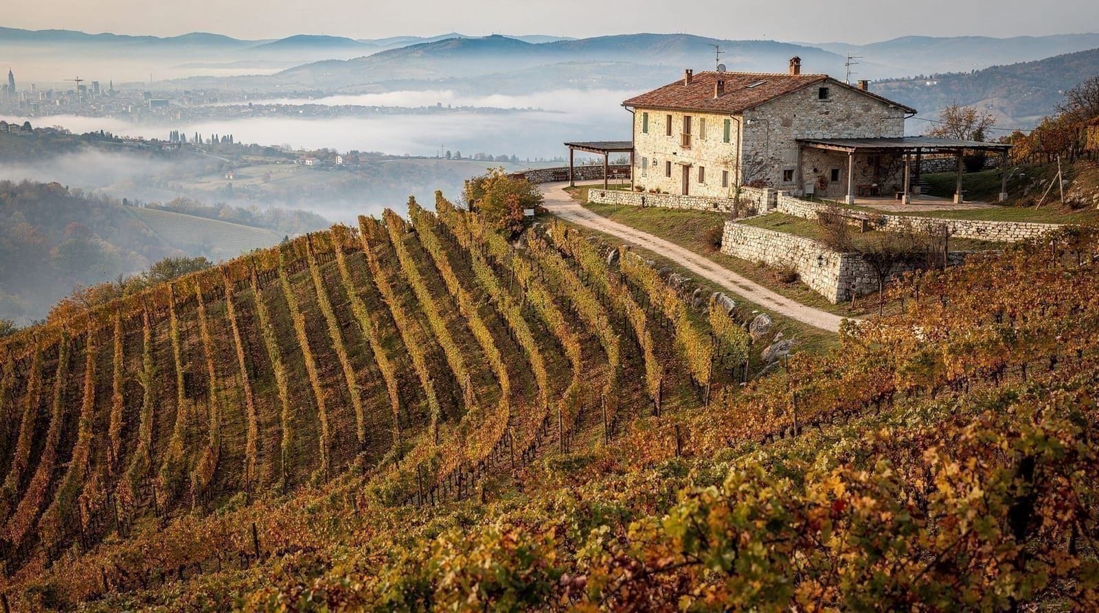Excursion d'une journée dans les collines du Prosecco depuis Venise : domaines viticoles, paysage UNESCO, comment y aller — Les collines du Prosecco sont à 1–1h30 de Venise. Comment visiter les vignobles 
