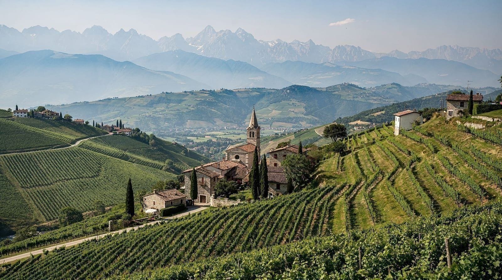 From Verona: Amarone wine tasting tour with transport