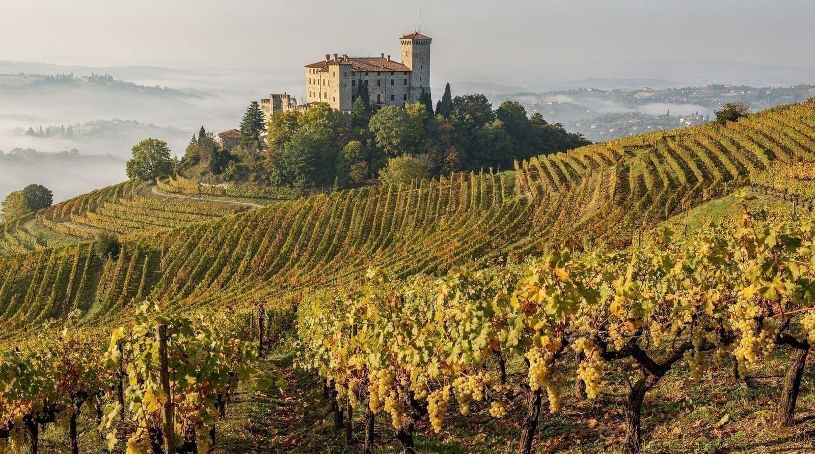 Soave wine guide: Italy's most underrated white wine — Everything about Soave wine — DOC vs Classico, the best producers, how to visit 