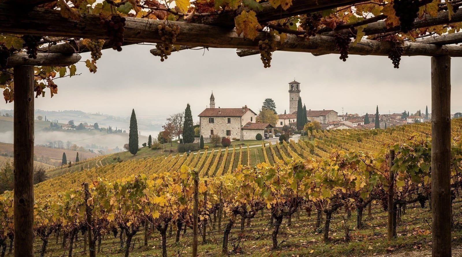 Valpolicella and Amarone: the red wines of Verona — Guide to Valpolicella, Amarone, and Ripasso — visiting from Venice, the best pro