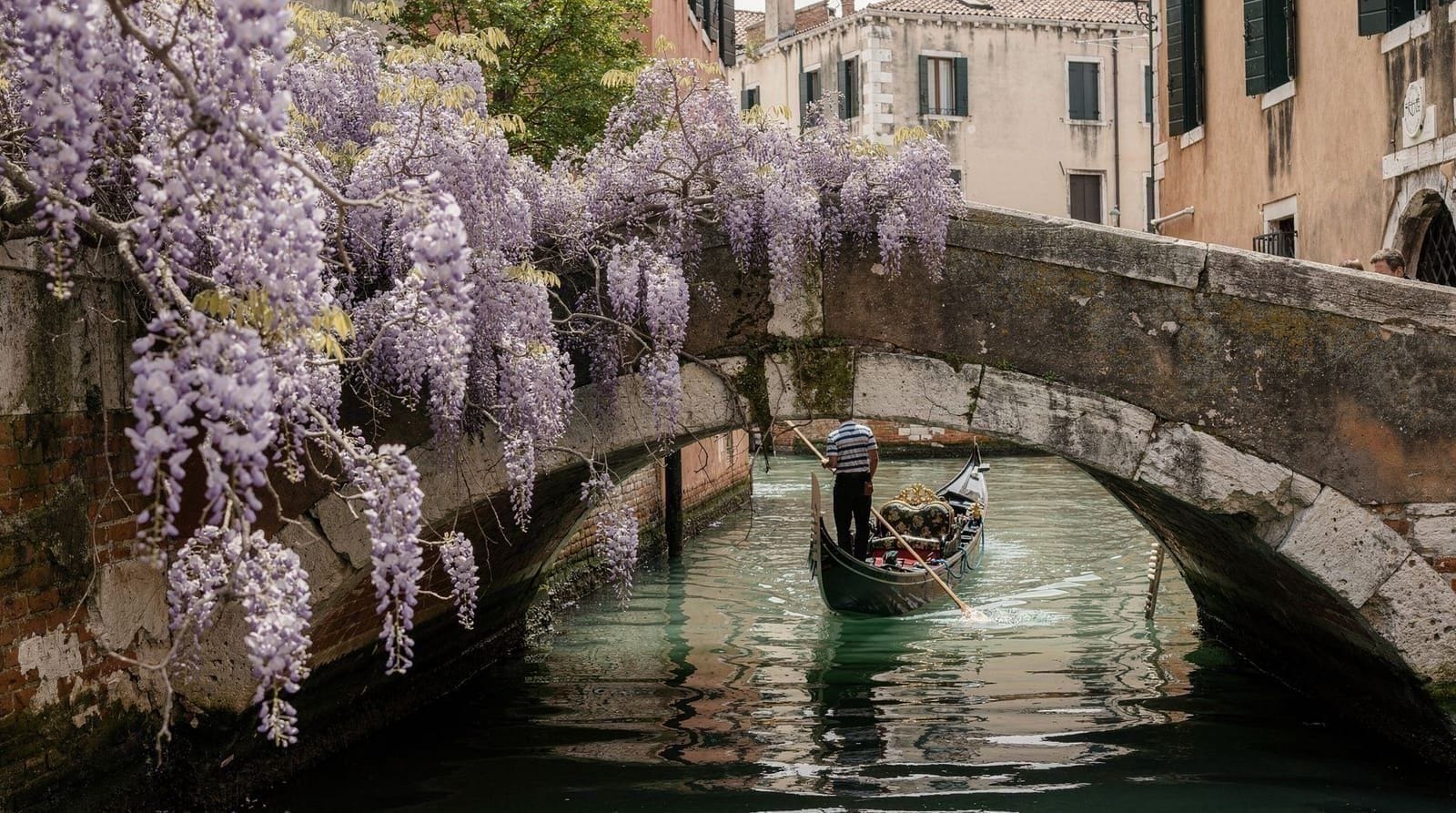 Venice in spring: April and May guide — Spring Venice: wisteria on canal walls, 18–24°C, fewer crowds than summer, and t