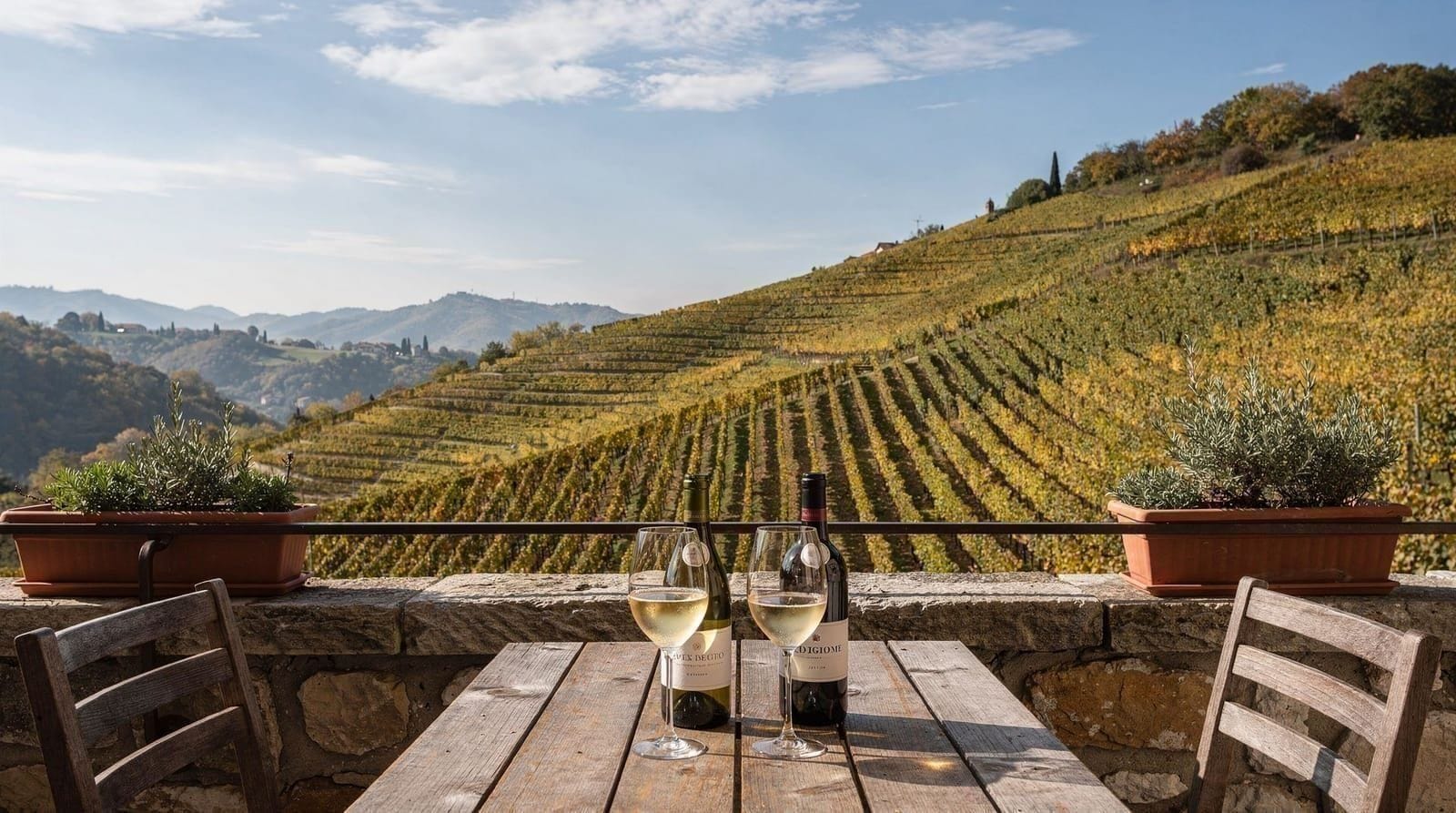 Wine tasting from Venice: day trips to Prosecco and Valpolicella — How to plan a wine tasting day trip from Venice in 2026 — Prosecco hills, Valpol
