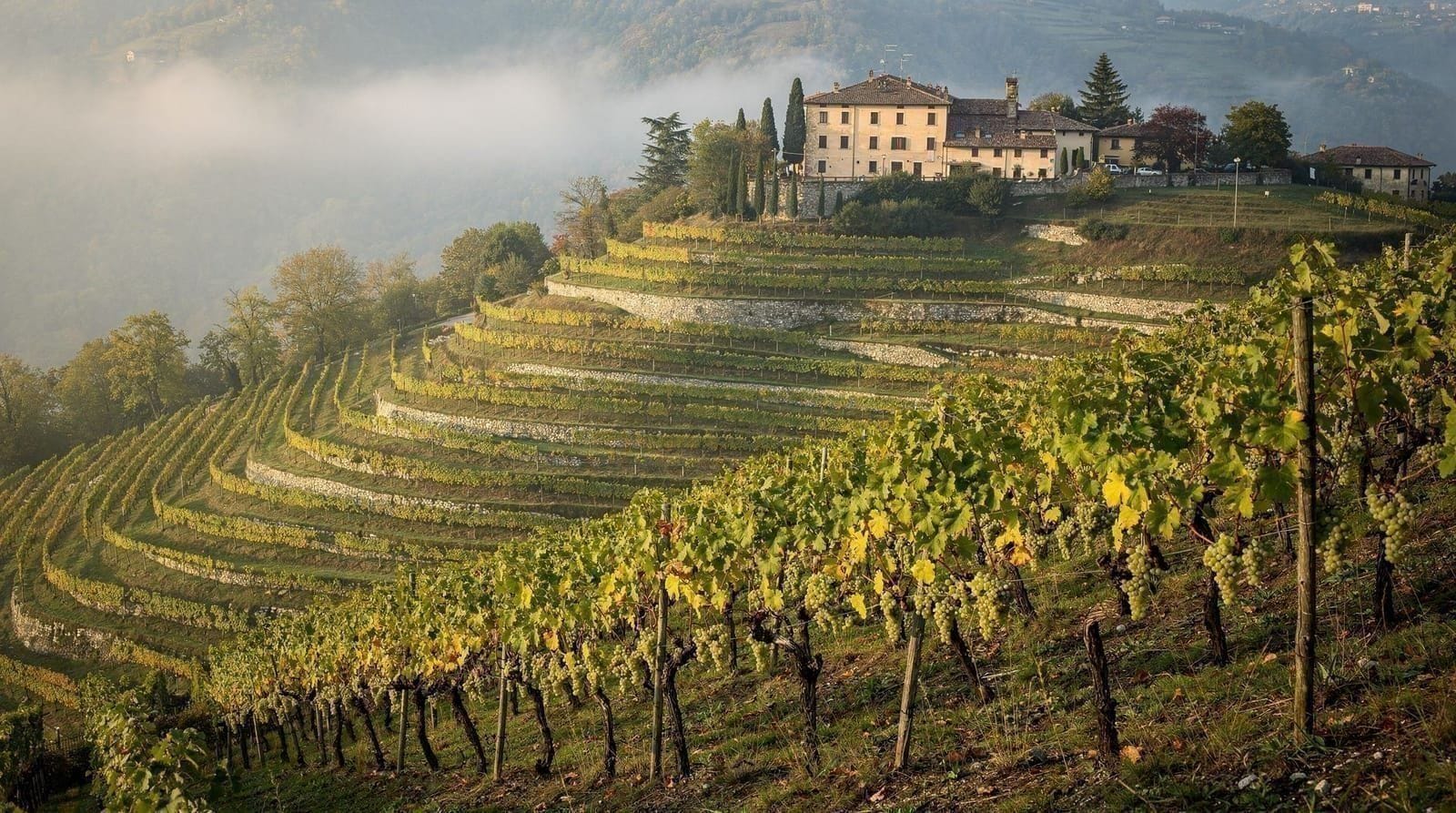 Prosecco hills wine tour from Venice: honest review — Prosecco hills wine tour from Venice 2026 — honest review of small-group and pri